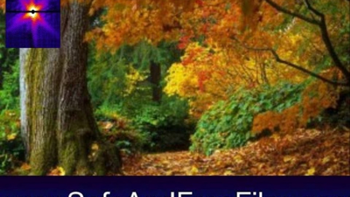 Download Autumn Tree - Animated Screensaver 5.07 Activation Number Generator Free