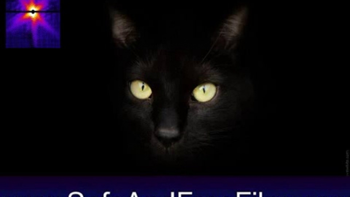 Download Black Cats Screensaver 1 Activation Number Generator Free