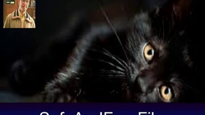 Download Black Cats Screensaver 2 Activation Code Generator Free