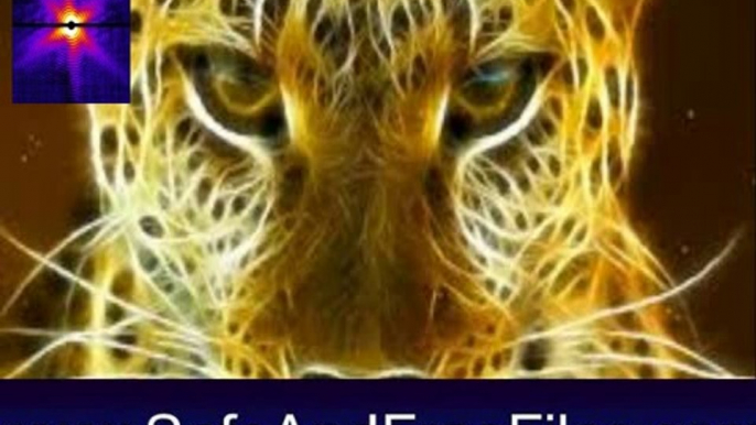 Download Wild Cats Screensaver 1.0 Activation Number Generator Free