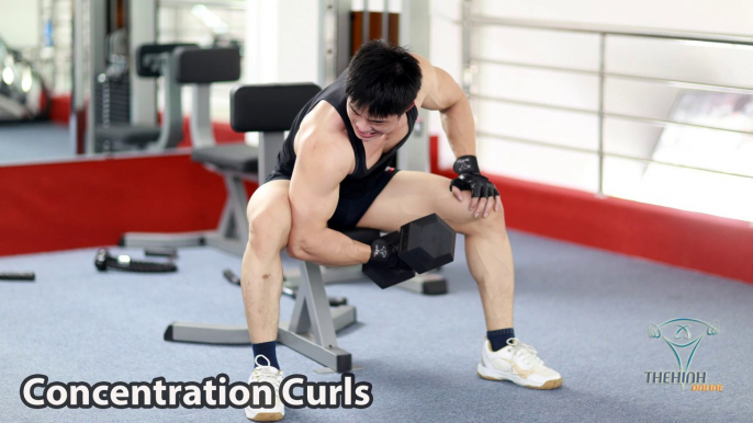 Concentration Curls tập tay trước (cơ nhị đầu) đúng kỹ thuật thể hình