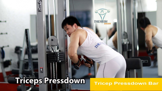 Triceps Pressdown tay sau to khỏe trong thể hình GYM