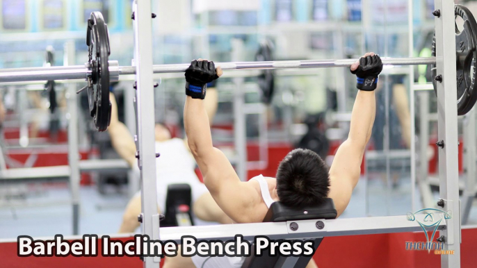 Barbell Incline Bench Press Tập ngực trên đúng kỹ thuật thể hình