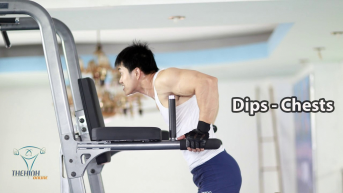 Dips Chest chống xà kép tập cơ ngực đúng kỹ thuật thể hình