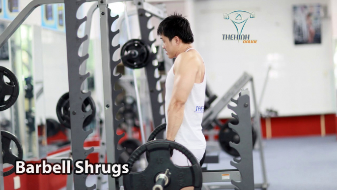 Barbell Shrugs Nhún Cầu Vai đúng kỹ thuật thể hình với tạ đòn