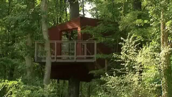 Hébergement dans les arbres, un nid douillet à plusieurs mètres du sol