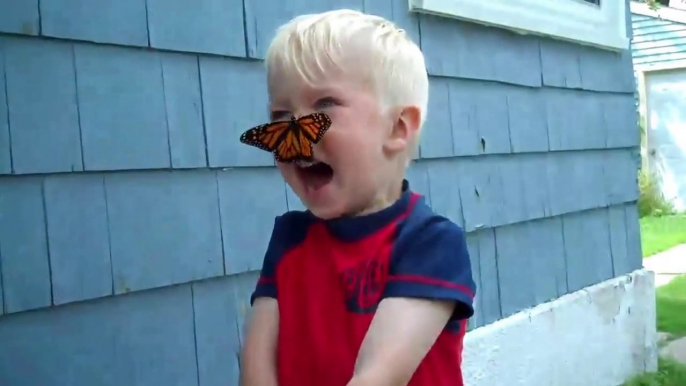 Butterfly attack! So cute little boy playing with a little butterfly...