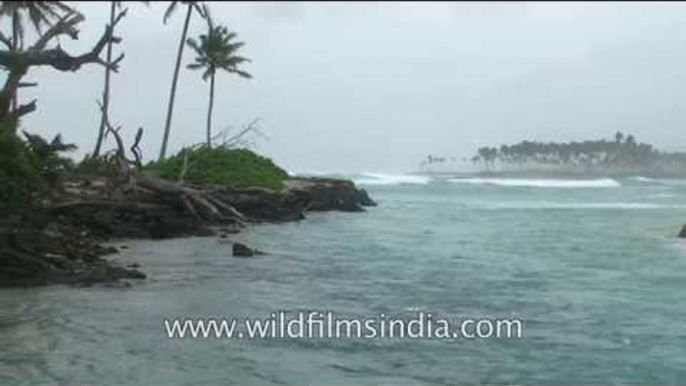 Waves hit upon the wild shores of Car Nicobar and its estuaries