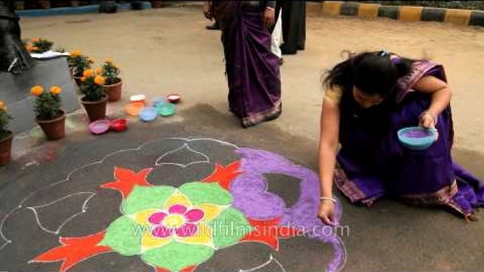 Beautiful Kolam at entrance of Tamil Nadu House on Kaanum Pongal