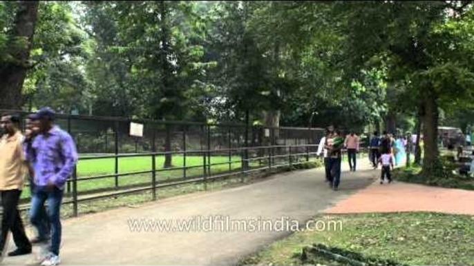 Alipore Zoological gardens: Kolkata