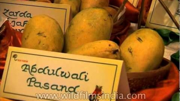 Numerous varieties of mangoes for display at Dilli Haat