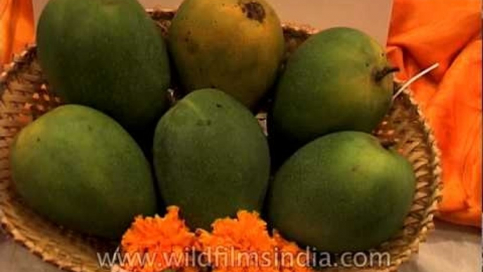 Largest varieties of mangoes in the world grown in India