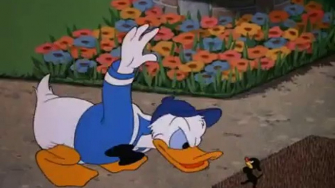 Donald duck episode Slide Donald Slide