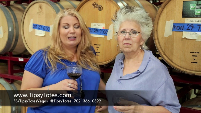 Learn How To Make Wine with Tipsy Totes at Grape Expectations pt. 4