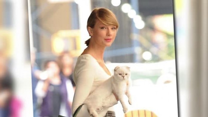 Taylor Swift Explains Why She Carries Her Cat Like an Accessory