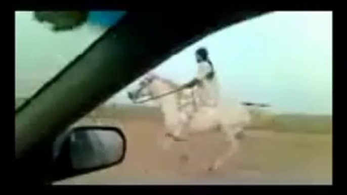 Riding horses(arabian riding)gallop videos