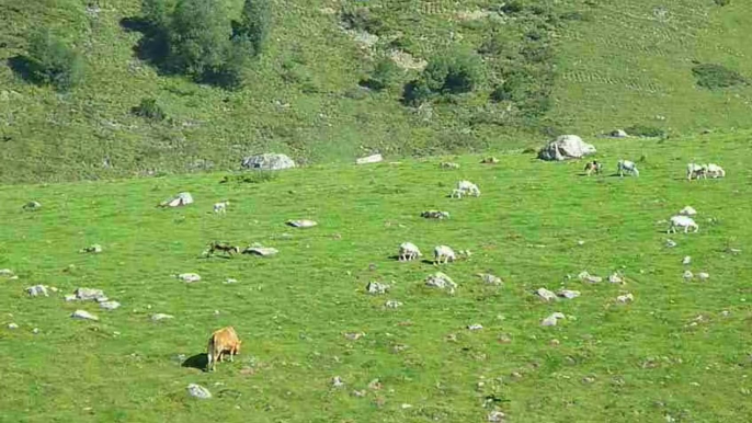 Randonnée Pyrénées