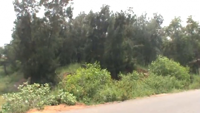 Road view of beach near Vishakhapatnam Vizag SKMClasses Subhashish 3