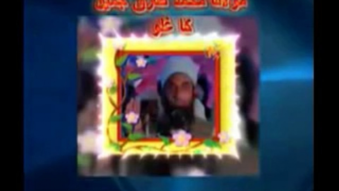 Tablighi Jamaat About Molana Tariq Jameel By Sheikh Tauseef Ur Rehman