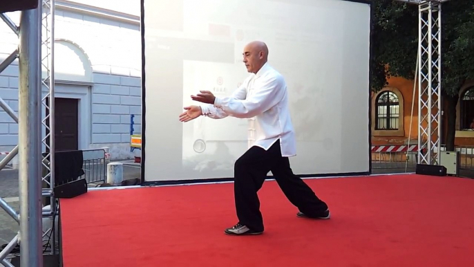 TAIJI QUAN STILE YANG ANTICO - M° FLAVIO DANIELE