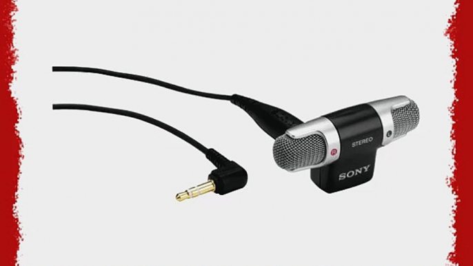 Sony ECM-DS70P Electret Condenser Stereo Microphone