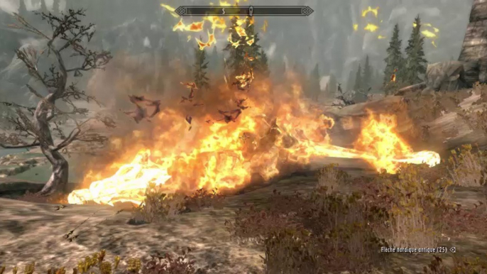 Skyrim - " Le Dragon asse