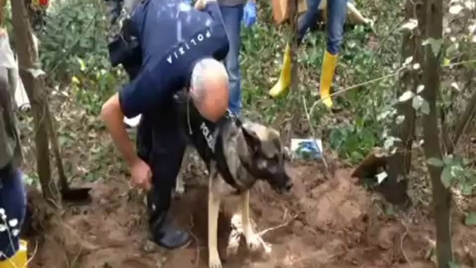 Vicenza - ritrovamento cadavere con cani molecolari della Polizia di Stato