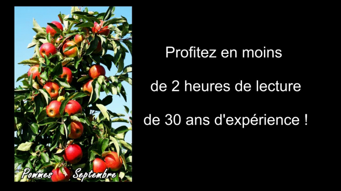 La taille des arbres fruitiers bénéficiez en moins de 2 h de 30 ans d'expérience !