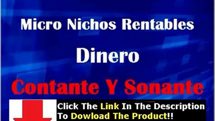 Micro Nichos Rentables + Micro Nichos Rentables Descargar Curso Gratis