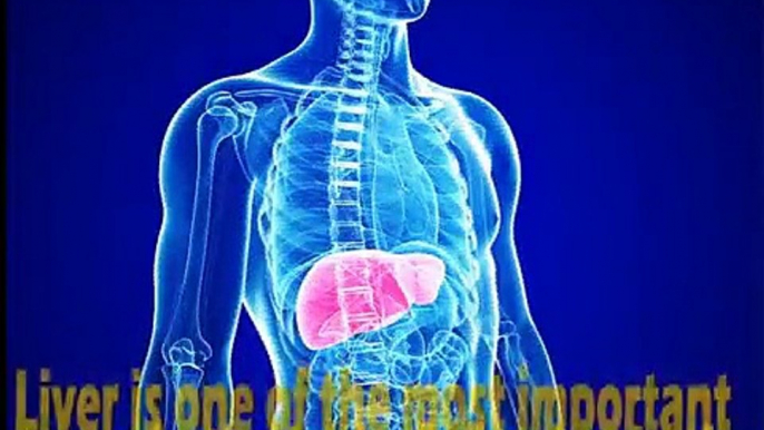 Fatty liver bible & ezra protocol review