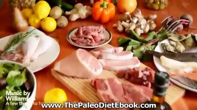 Paleo Diet Recipes Paleo Cookbook Over 370 Paleo Recipes