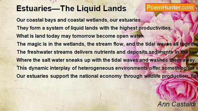 Ann Castaldi - Estuaries—The Liquid Lands