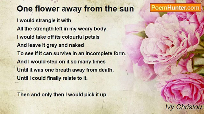 Ivy Christou - One flower away from the sun