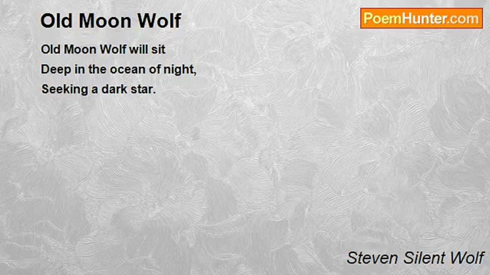 Steven Silent Wolf - Old Moon Wolf