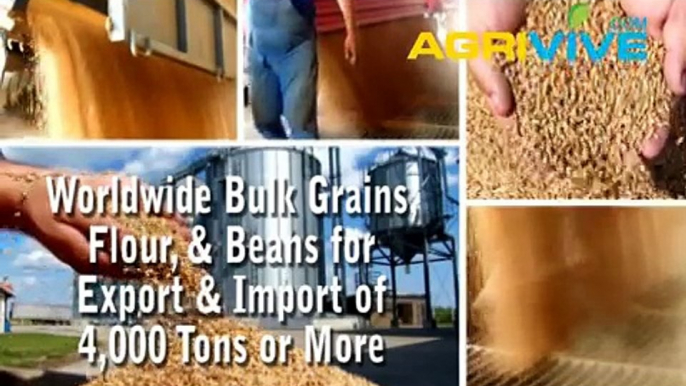 Acquire Bulk Soybeans for Importing, Soybeans Importers, Soybeans Importer, Soybeans Imports, Import, Import