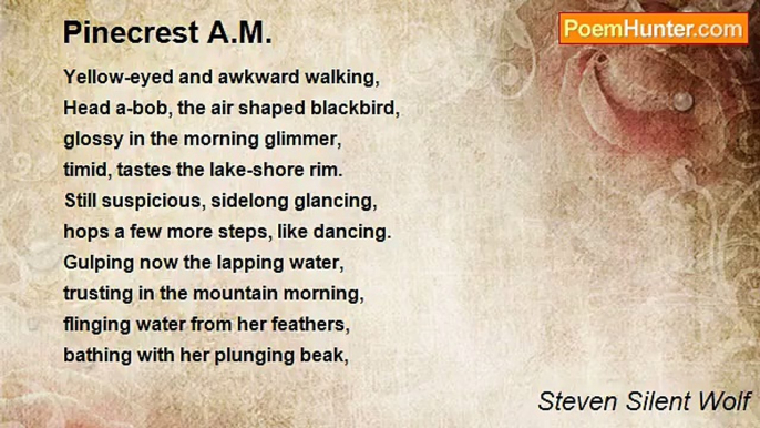 Steven Silent Wolf - Pinecrest A.M.