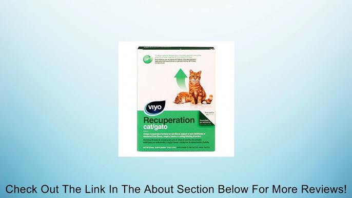 Viyo Recuperation for Cats Review