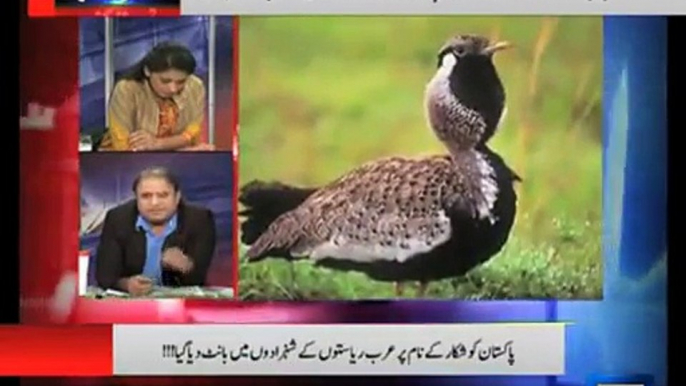 Rauf Klasra Exposed PM Nawaz Sharif for Giving Permission to 4 Arabs States for Bird Hunting in Pakistan