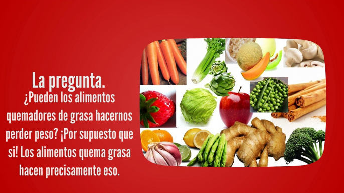 7 Alimentos Quemadores De Grasa Para Perder Peso