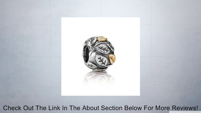 Pandora Charm Tree Of Life w/14K 790429 Review