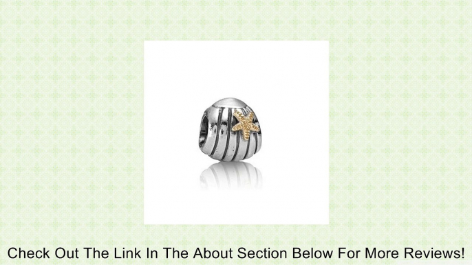 Pandora Charm Seashell w/14K 790249 Review