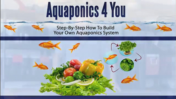 Aquaponics 4 You -- Step By Step How To Build Your Own Aquaponics System