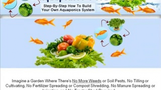 Aquaponics 4 You - Step-By-Step How To Build Your Own Aquaponics System