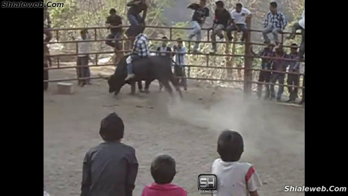 Jaripeo De Rancho En Mexico Valientes Jinetes Montan Toros Salvajes Noviembre 2014 Guerrero