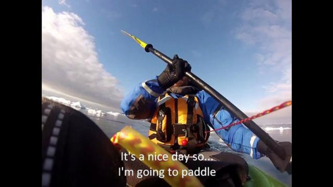 Kayak on Greenland among the Icebergs and whales