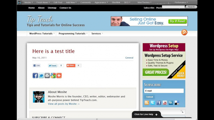 Adding and Updating a Title to a Post in Wordpress