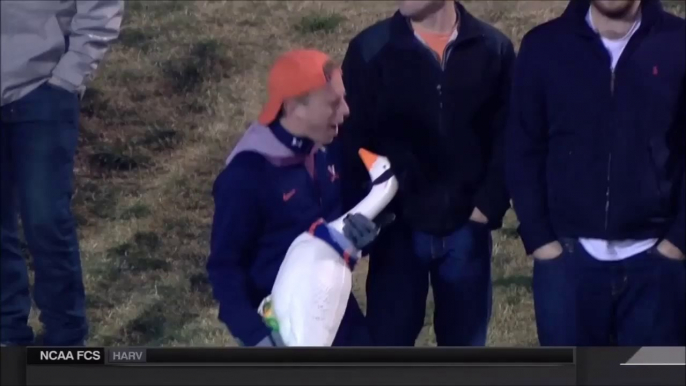 Virginia fan singing to a fake goose is hilarious!