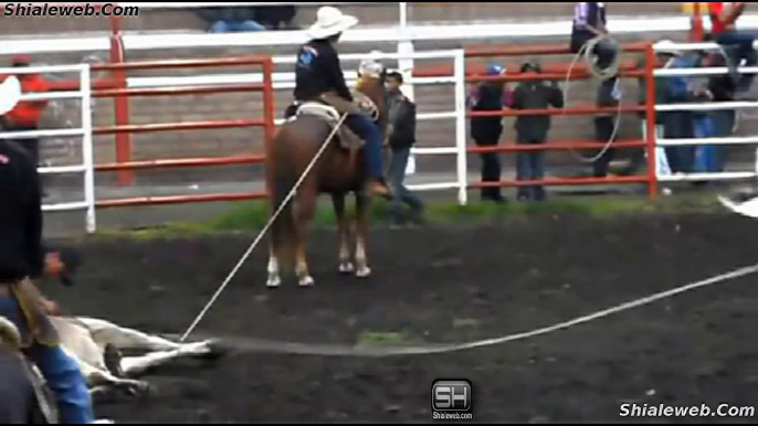 Jaripeo Y Charreria En Mexico Noviembre 2014 Valientes Jinetes Montan Toros Salvajes Con Espuela Libre En Michoacan Guerrero Oaxaca Mexico Corraleja Encierro Ganaderia Reyes