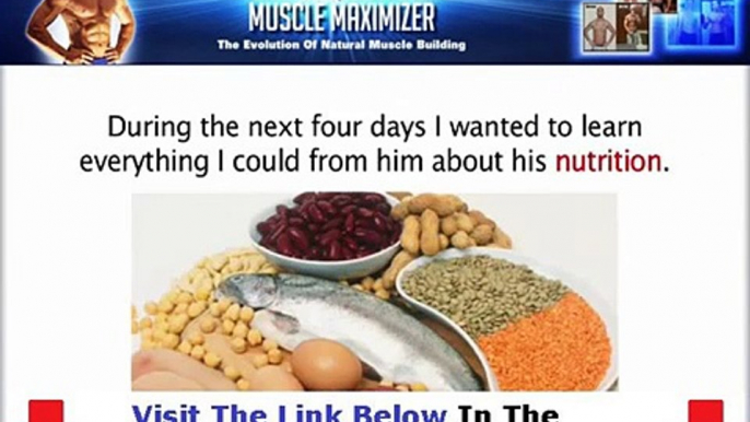 The Muscle Maximizer Fitness Guide + DISCOUNT + BONUS