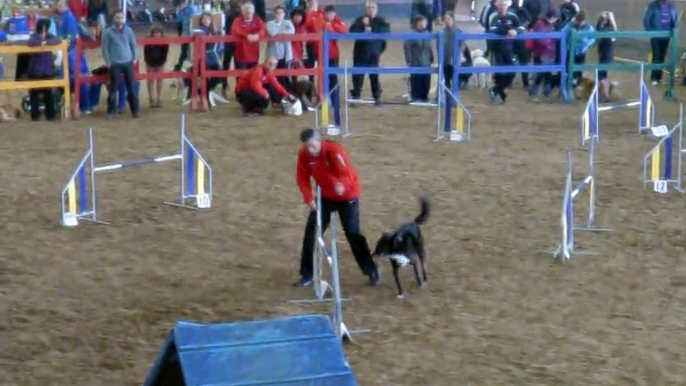 Juan & Candela y Jorge & Daxa - AGILITY EQUIPOS - III COPA FAA [30-11-2014 Castrillón - Asturias]